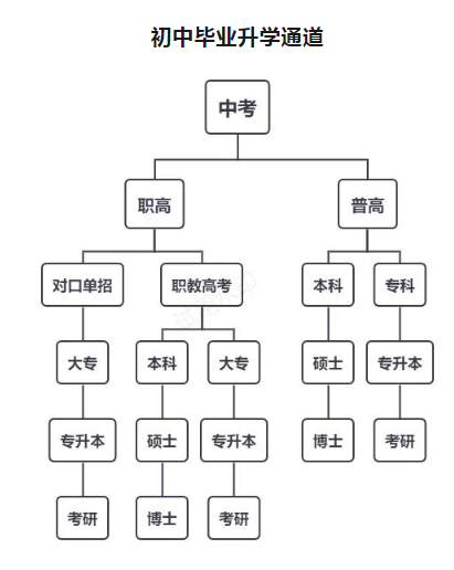 林州市開元領航職業學校升學體系是什么？
